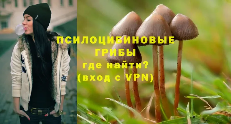 купить наркотики сайты  Полярные Зори  Галлюциногенные грибы Magic Shrooms 